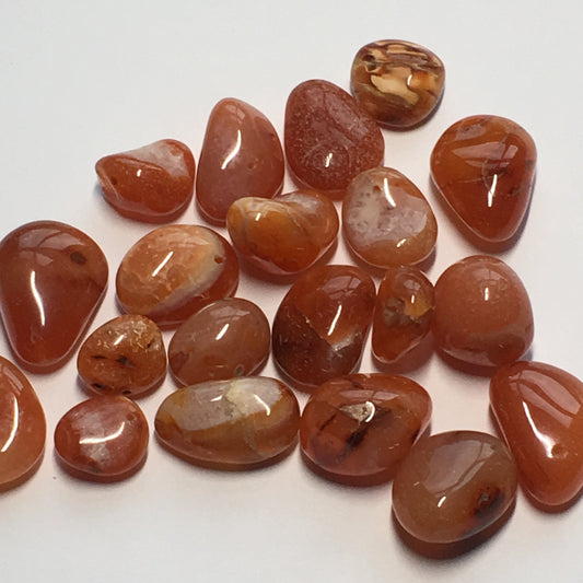 Orange Agate Semi-Precious Stone Beads, 11 x 6 - 19 x 14 mm, 20 Beads