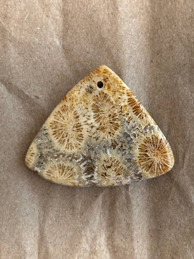 A triangular stone or bead with a natural coral or fossilized tooth pattern in beige, brown, and gray, featuring a small hole at the top, placed on a textured brown paper background.