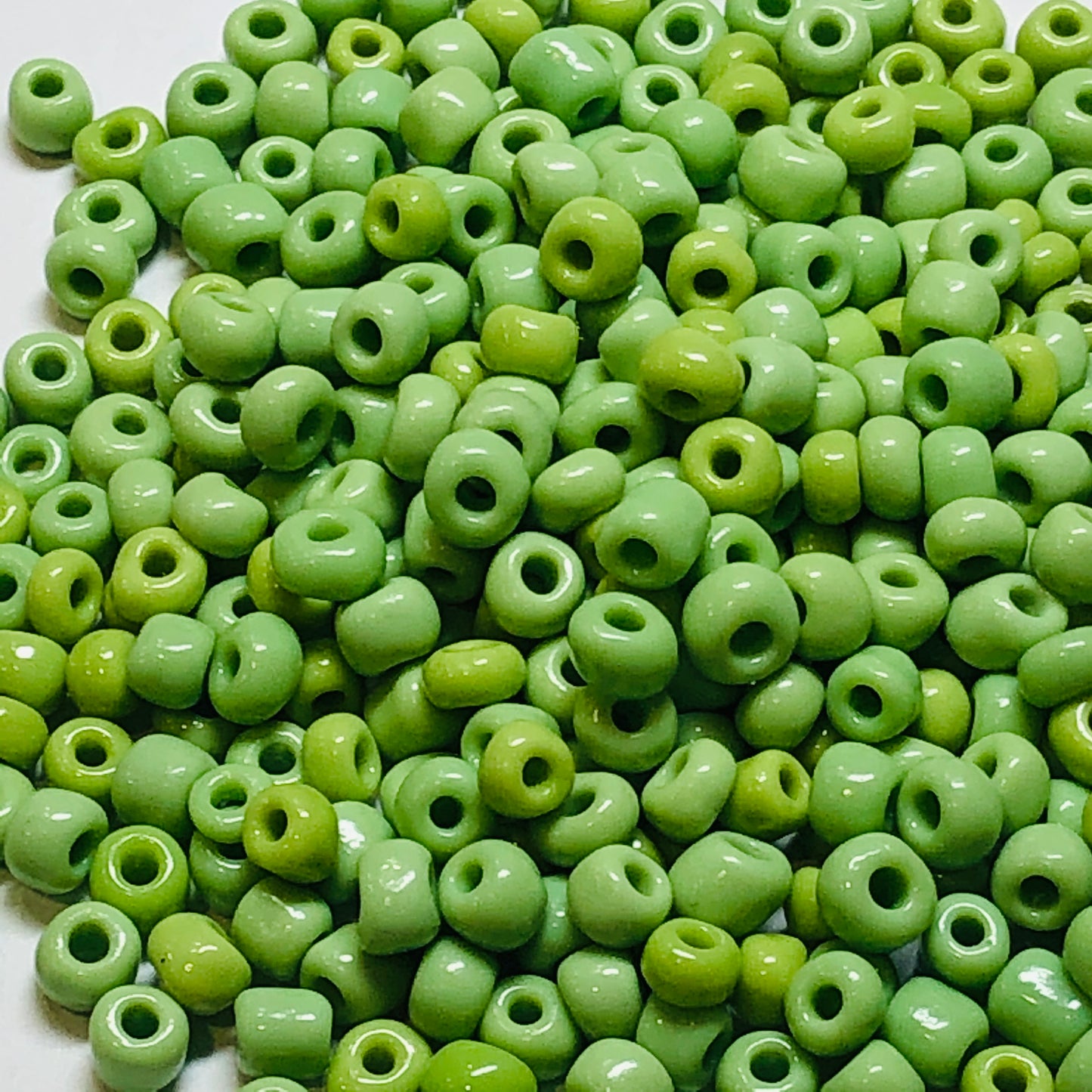 6/0 Shades of Opaque Light Green Seed Beads, 5 or 10 gm