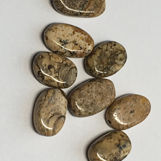 Picture Jasper Semi-Precious Stone Oval Flat Beads, 12 x 7 x 3 mm, 8 Beads