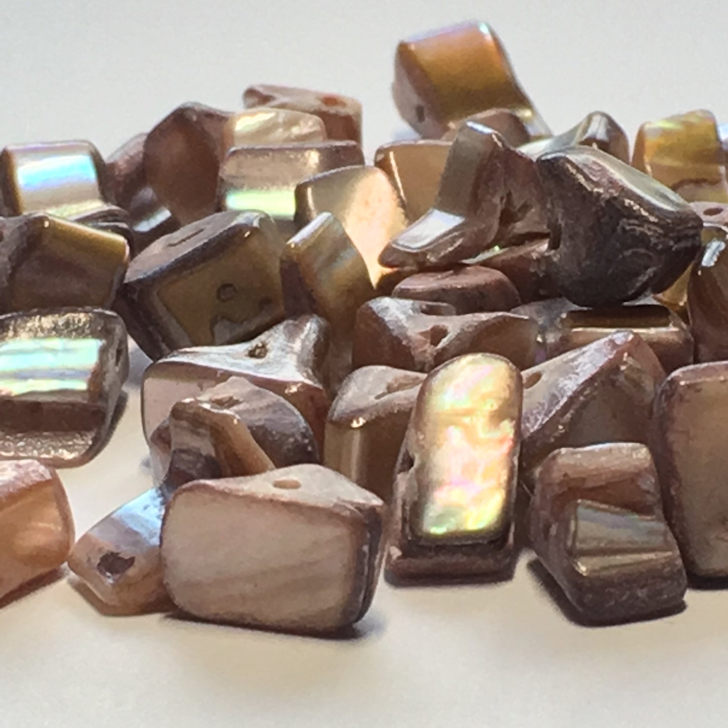 Natural Sliced Shell Beads, 5-6 mm Line Length on Average, 54 Beads