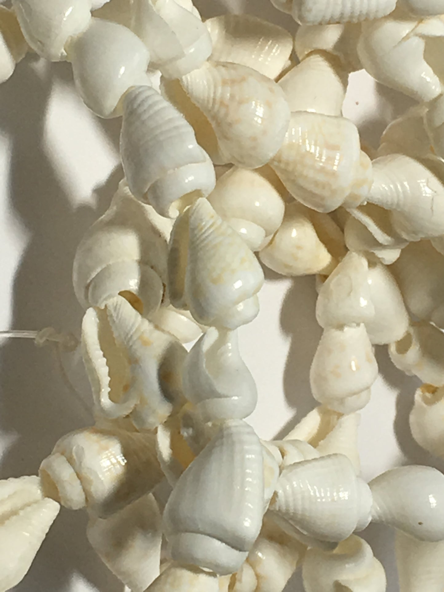 White Conical Shell 10 mm Beads - 53 Inch Strand