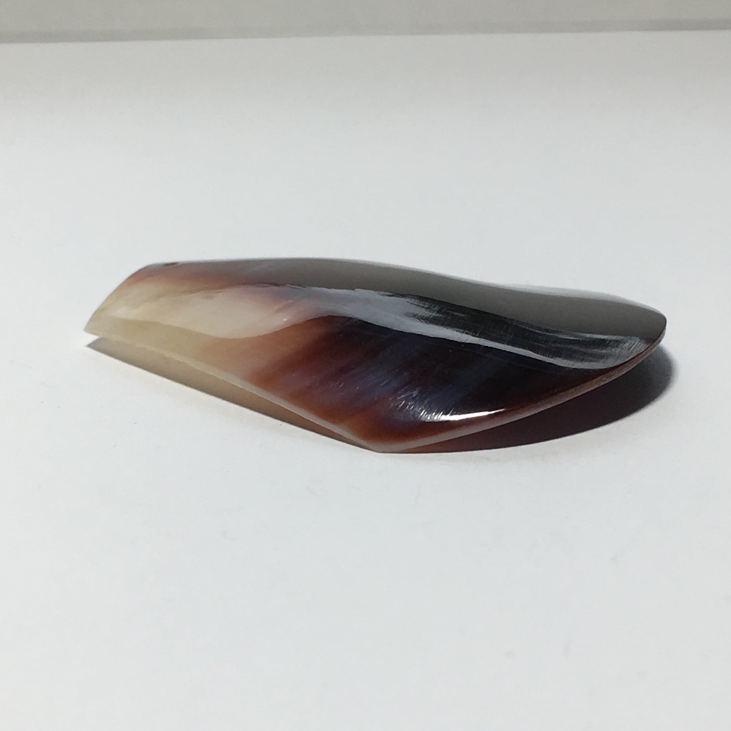 Purple and White Seashell Tab Pendant 42 mm long