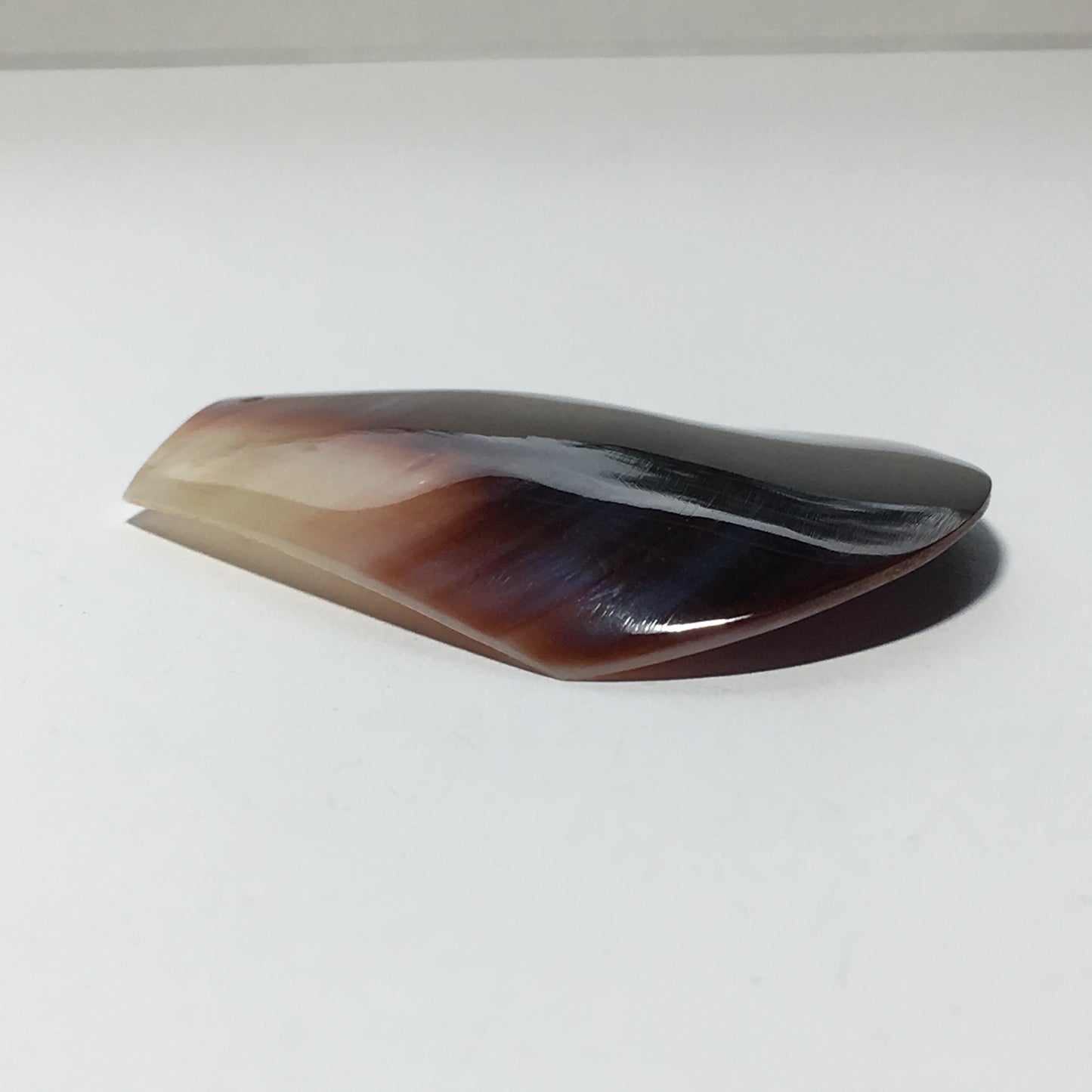 Purple and White Seashell Tab Pendant 42 mm long